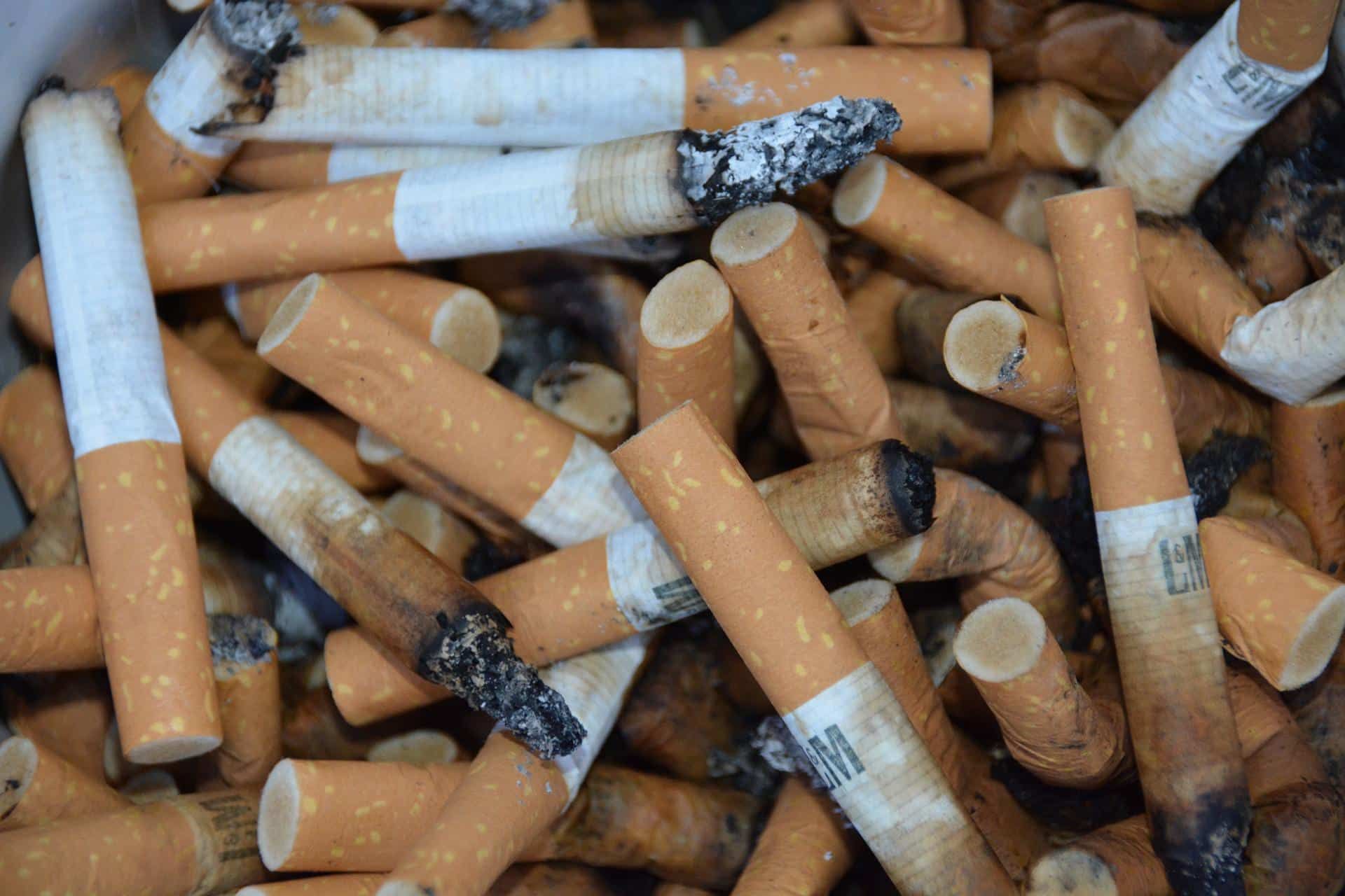 Lung Cancer CBD as a Therapeutic Option