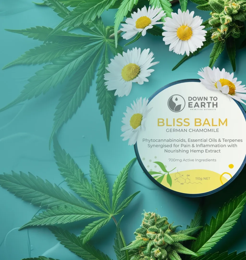 CBD Balms with German Chamomile