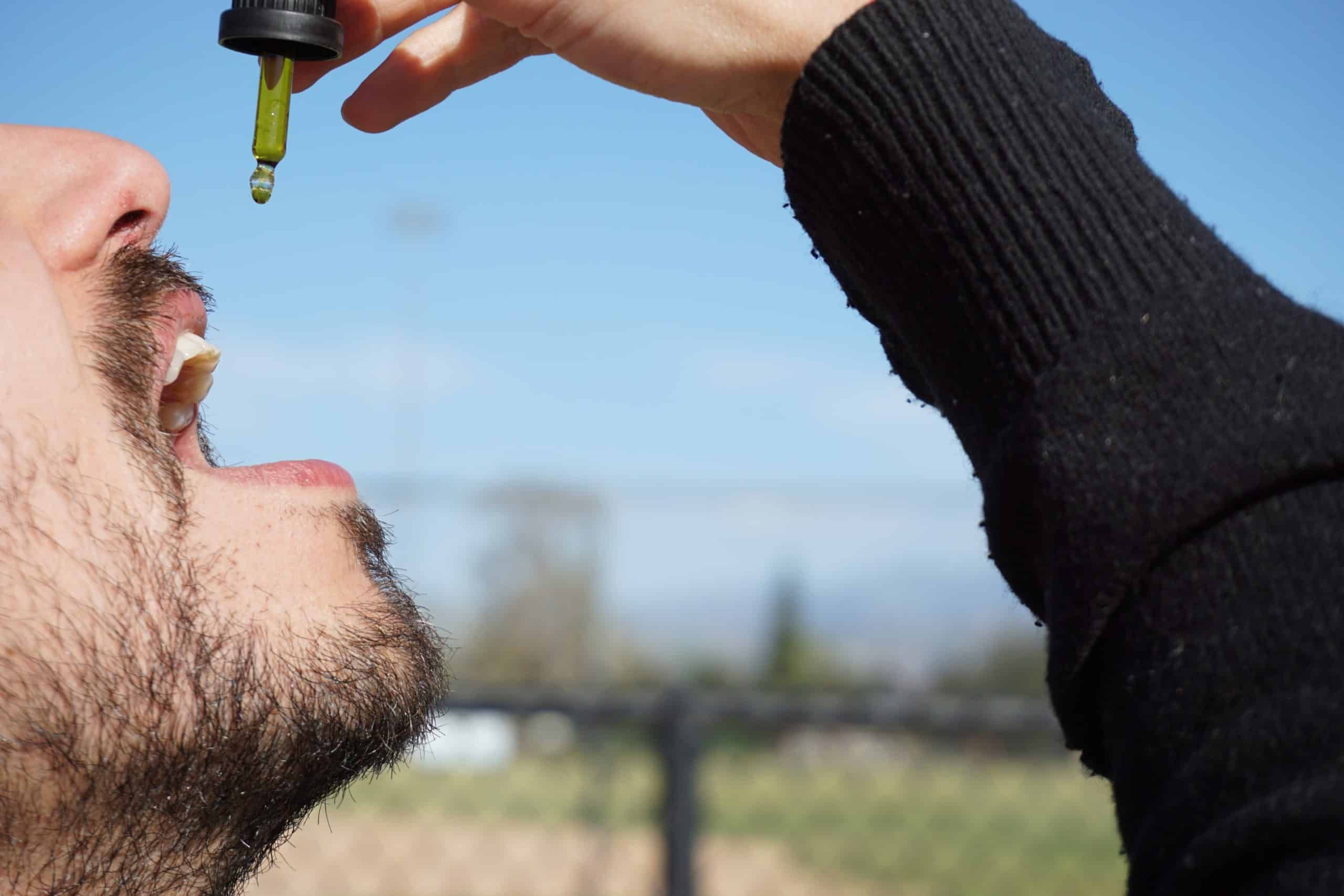 How CBD Oil Can Work