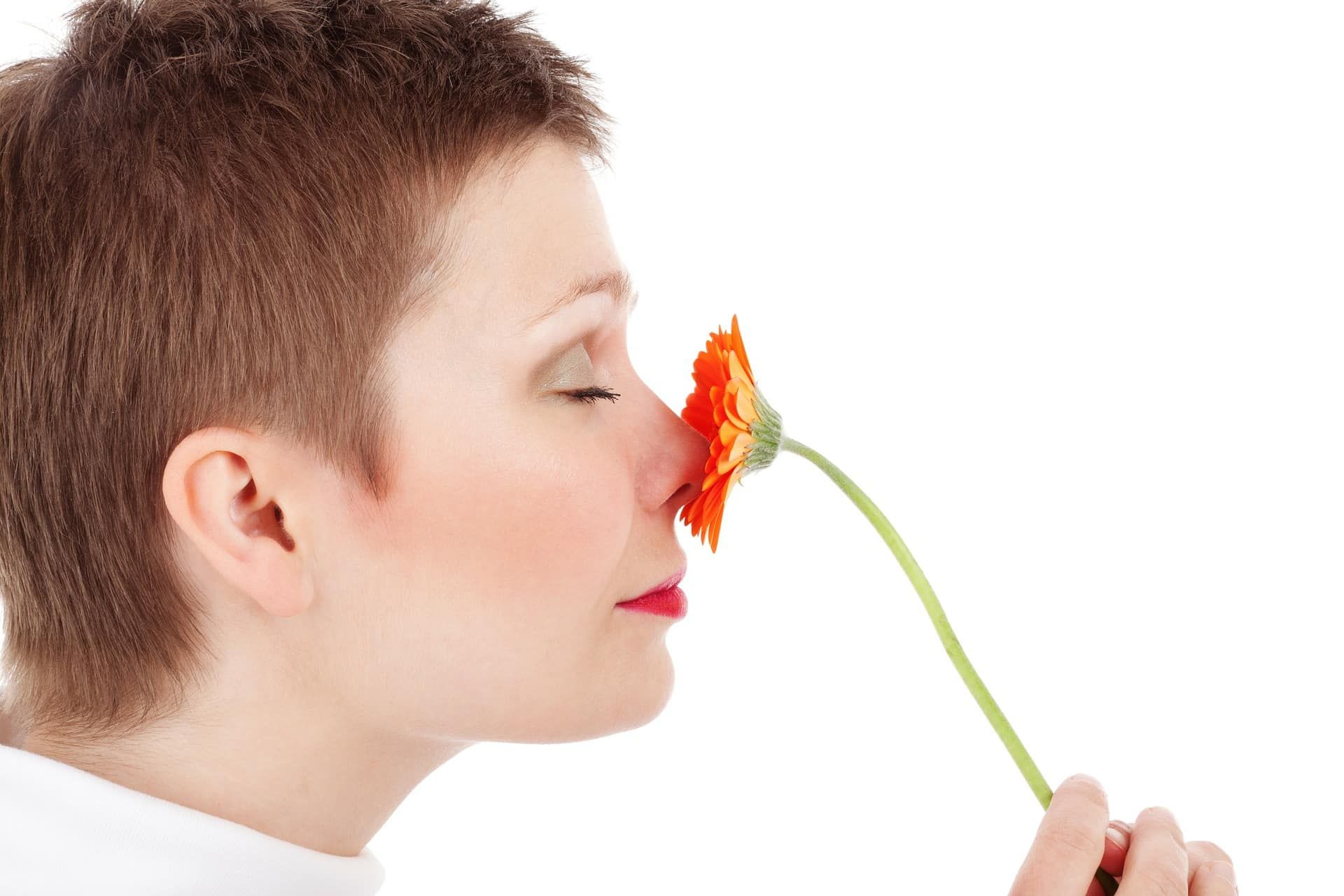 Terpenes & Why Cannabis Works What’s That Smell