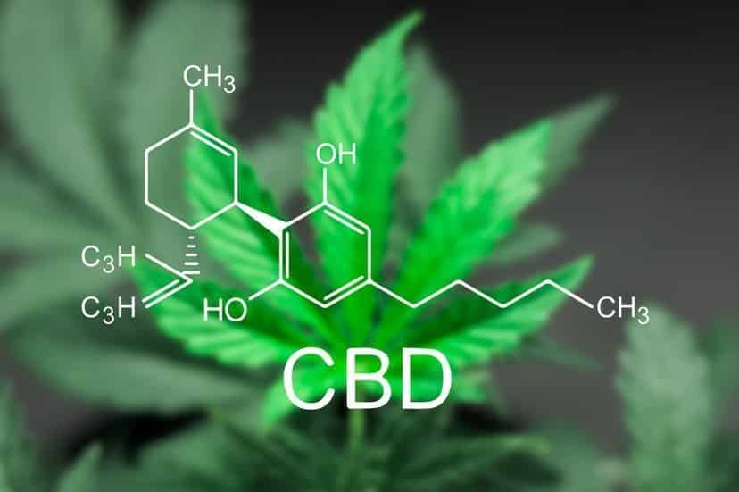 cbd-blog-header cbd-blog-header