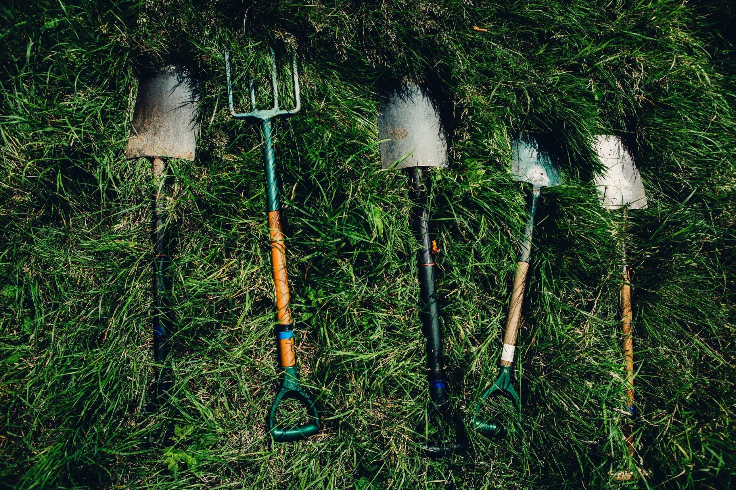 Photo by dylan nolte on Unsplash Photo by dylan nolte on Unsplash
