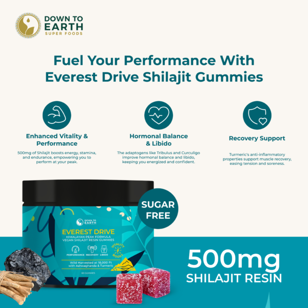 shilajit gummies, performance gummies, benefits of shilajit gummies